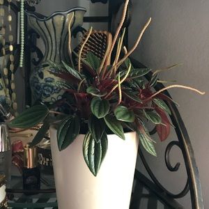 Meet your Posher, Maria